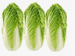 Пекинская капуста