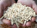 Пеллеты топливные - фото 3