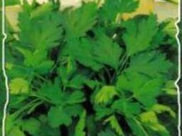 Петрушка Фестиваль 5г.