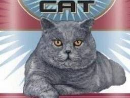 Piko Pet Консервы Pet Daily Cat Beef + pear Piko Pet Консервы 'Pet Daily Cat Beef +. ..