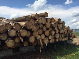 Пиловочник хвойных пород