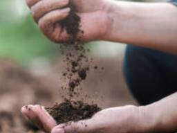 Плодородный грунт для благоустройства