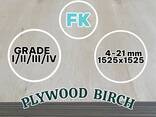 Plywood Birch Larch Wood for sale from a warehouse in Europe up to 30% Sale - фото 2