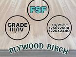 Plywood Birch Larch Wood for sale from a warehouse in Europe up to 30% Sale - фото 3