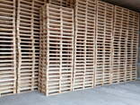 Поддон, паллеты деревянный 800х1200 новые Брест - фото 1