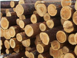 Подтоварник — тонкомерный круглый лесоматериал диаметром. . .