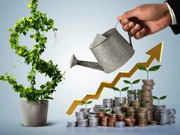 Поиск инвестора