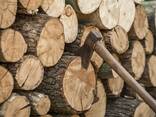 Покалю дрова. Лепель - фото 3