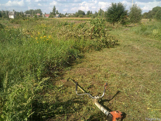 Покос газонной травы, бурьяна