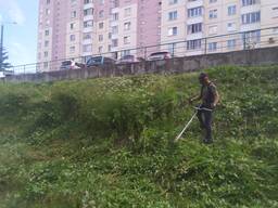 Покос травы, бурьяна, мелкий кустарник и крупные деревья.