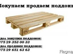 Покупаем поддоны 1200х800, 1200х1000,1200х1200