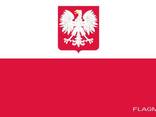 Польское рабочее приглашение для открытия визы для граждан Беларуси - фото 1