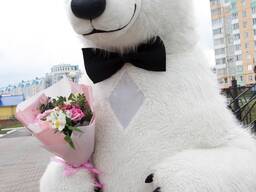 Белый Медведь на День рождения Гомель