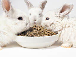 Премикс ПБ-4 (Кролики) 1/25 кг