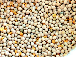 Продам горох