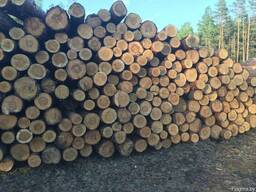 Продам лес кругляк диаметр от 14 и более цена от 45