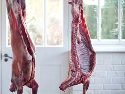 Продам мясо козлов