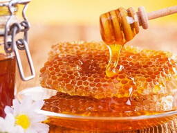 Продам пчелопакеты Бакфаст, Краинка