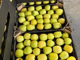 Продам польские яблоки.