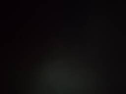 Продам семена фестулолиума