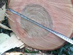 Продам ясень