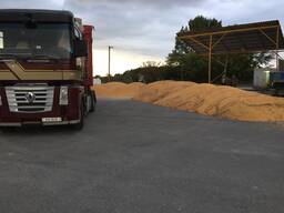 Продам зерно. Пшеница, ячмень, овёс , кукуруза, Шрот гранулы