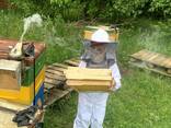 Продаём мёд - фото 2