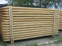 Продажа кольев окоренных/оцилиндрованных