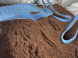 Продажа семян редьки масличной 1РС и 2 РС Сорт Сабина