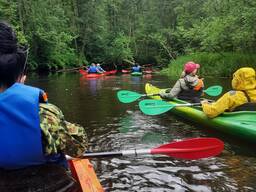 Прокат, аренда байдарок