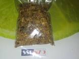 Прополис пчелиный. - фото 2