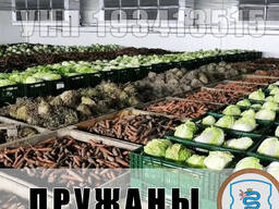 Пружаны обеззараживание, дезинфекция, обработка складов, овощехранилищ, картофелехранилищ