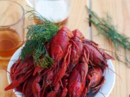 Раки( Египет)