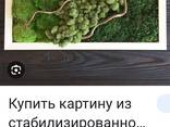 Рано из стабилизированного мха 2×3. кашпо - фото 3