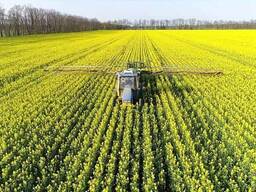 Зерно - кукуруза, пшеница, ячмень.