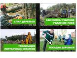 Расчистка и уборка участков в Гомеле под ключ - фото 2