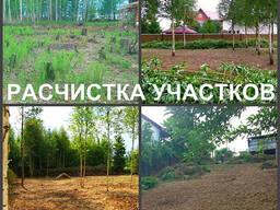 Расчистка участка