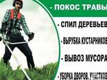 Расчистка участка любой сложности. Уборка территории. - фото 2