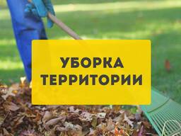 Расчистка участка любой сложности. Уборка территории.