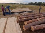 Распил леса на дом - фото 4