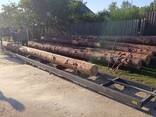 Распил леса на дом - фото 7