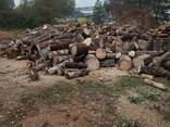 Распиловка и колка дров - фото 1