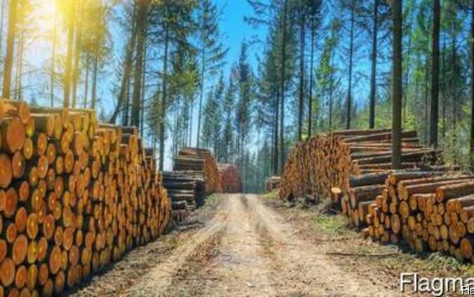 Распиловка круглого леса