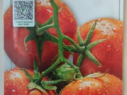 Рассада Томаты ''Saint Pierre'' Бронирование