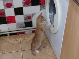 Ремонт стиральных машин