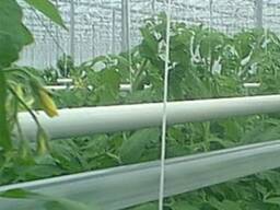 Рукав CO2 (Hose CO2)