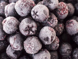 Рябина (Арония) красная, черноплодная