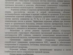 Сапропель