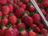 Саженцы клубники Азия - фото 3