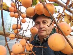 Саженцы редких плодовых растений